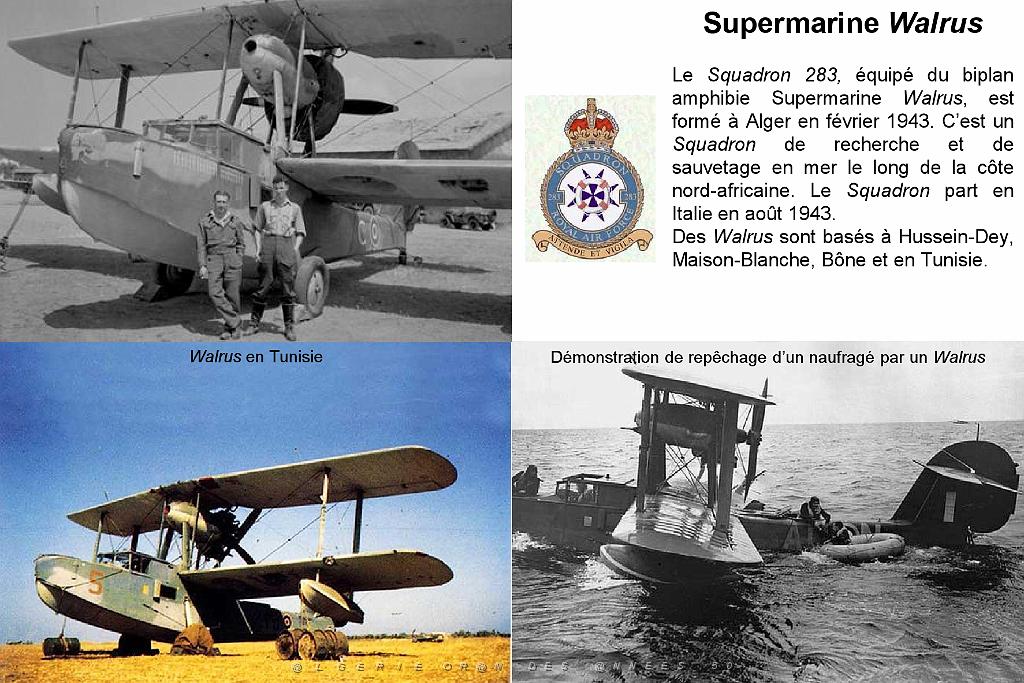 64-2nde Guerre Mondiale (11)_000021.jpg